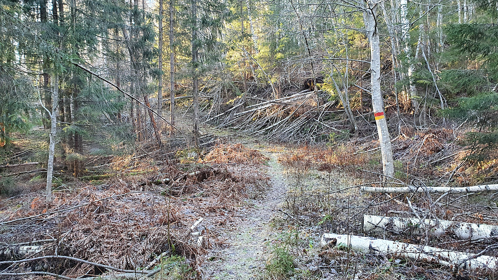 I den delen hvor jeg fulgte traktorvei oppover mot Grøterudberget. Akkurat her trodde jeg traktorveien var slutt, men den fortsatte videre. For øvrig var det godt merket oppover.