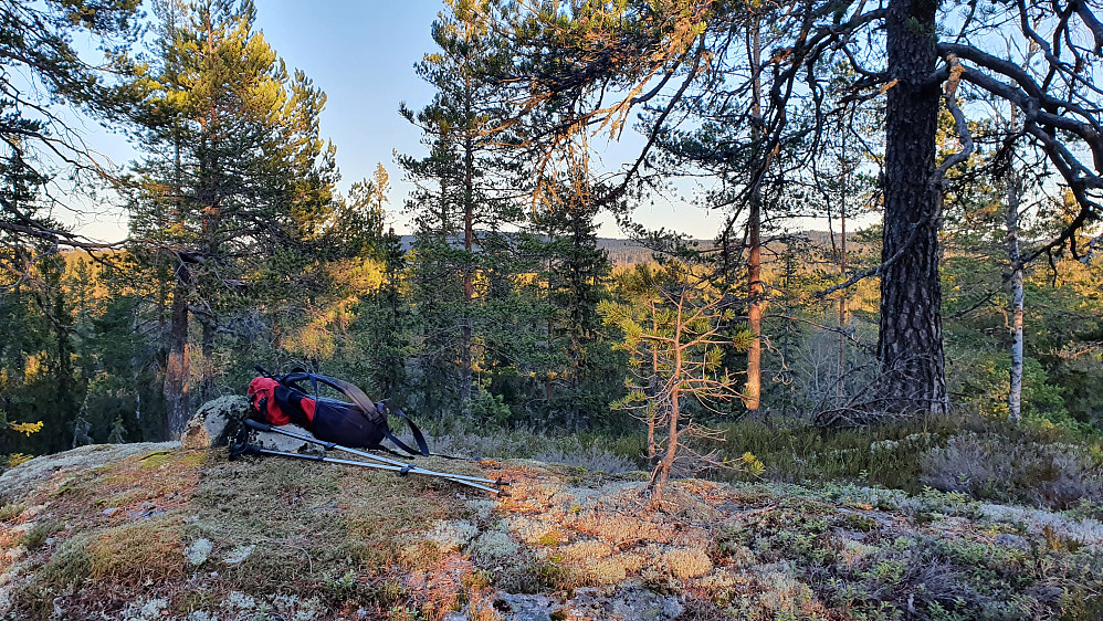 På toppen av Tretjernshøgda S2 (436).
