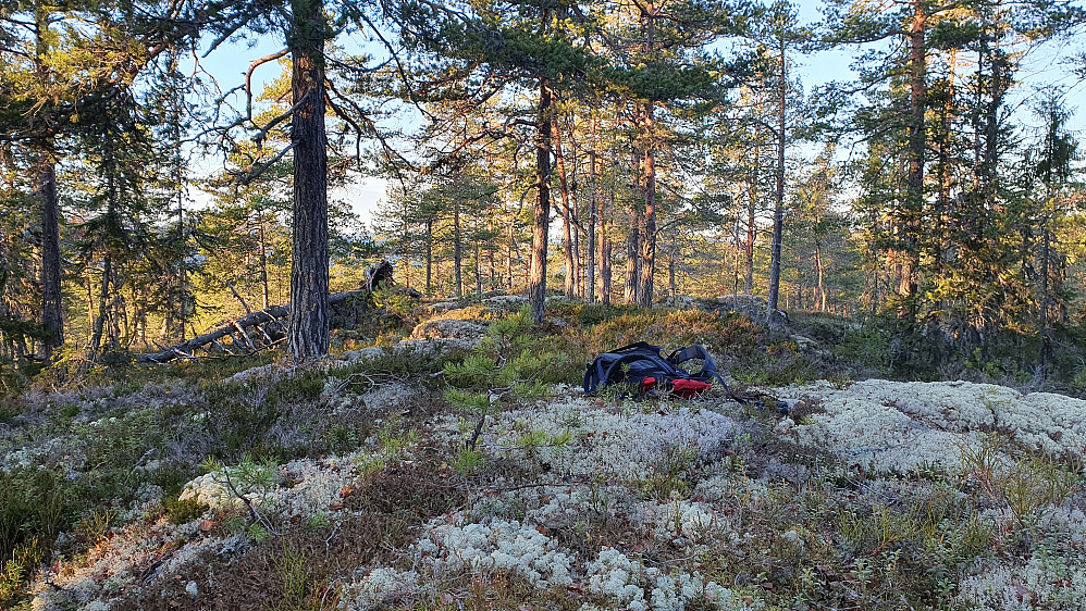 På Tretjernshøgda Sør (437).