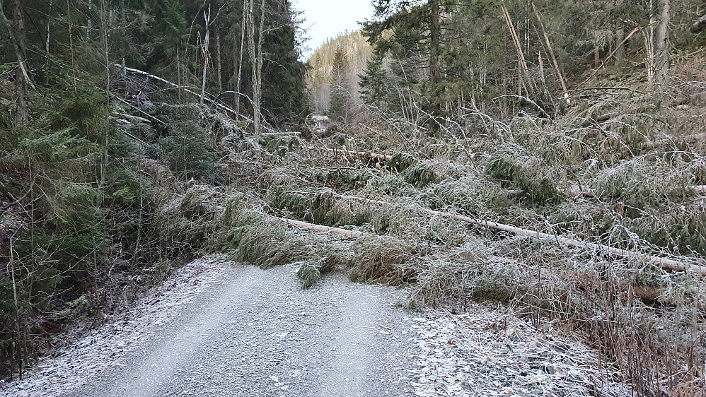 Ikke lett å komme fram med bil her ... I dette området så omtrent 100 meter av veien slik ut.