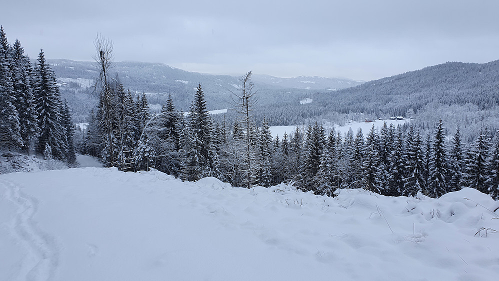 Jeg vasser i luftig snø oppover veien som går mot toppen, i nordsiden av Liåsen. Bak til høyre ses gården Strand. Biter av Strandevatnet kan også ses mer til venstre i bildet.