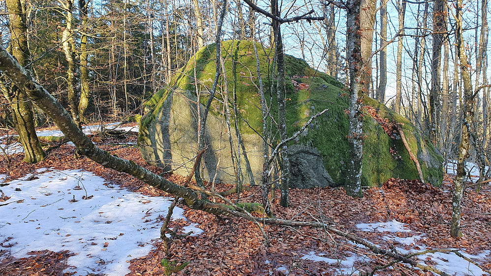 Kampesteinen på Salsås Nordre (222). Jeg kløv opp fra høyre side, hvor det står en stokk lent inntil steinen.