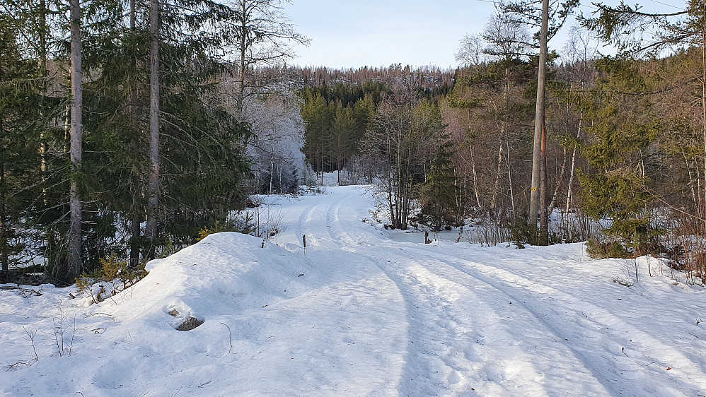 Snart tilbake ved bilen igjen. Her på veistubben som tar av fra fylkesvei 3344. Ruta jeg fulgte mot Stillemyrberga fortsetter til venstre i enden av denne ubrøyta veistubben.