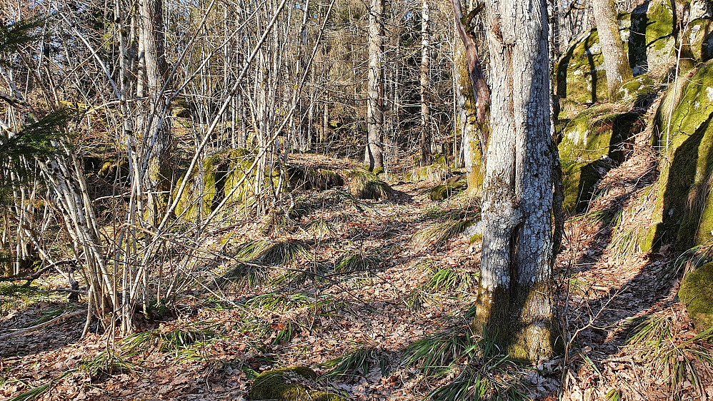 Av og til antydning til sti der jeg gikk oppover mot Skjeggås.