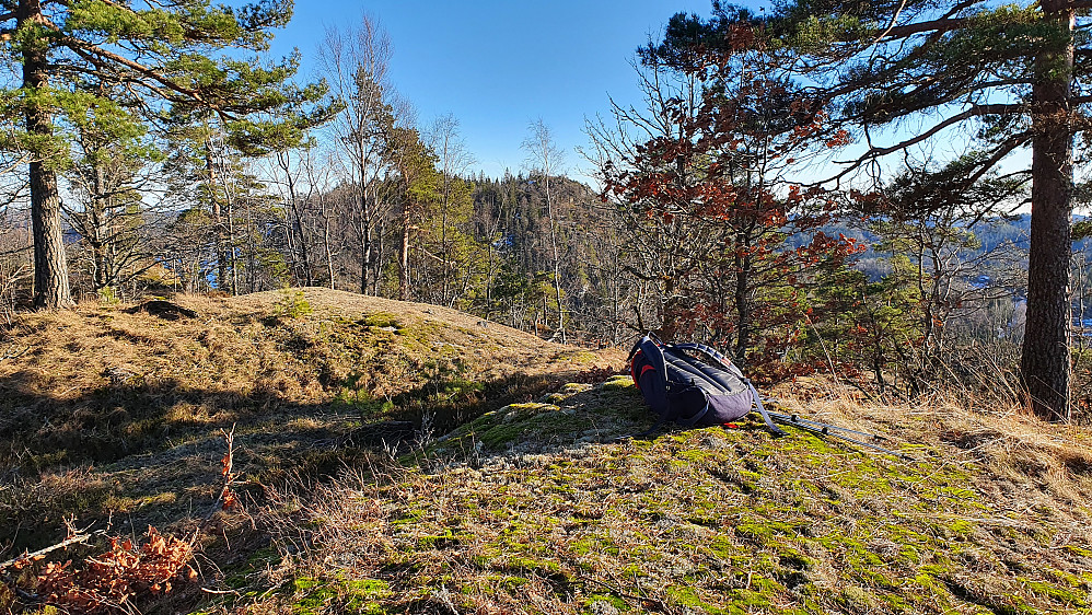 På toppen av Vestre Grasås (228). Bak og midt i bildet ses Skjeggås (253) gjennom trærne.