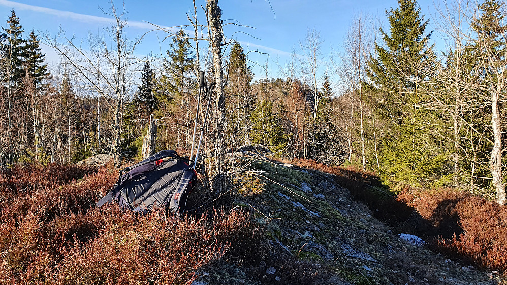 På toppen Sørvest for Skjeggås (172). Kollen som skimtes bak trærne omtrent midt i bildet, er Vestre Grasås (228).