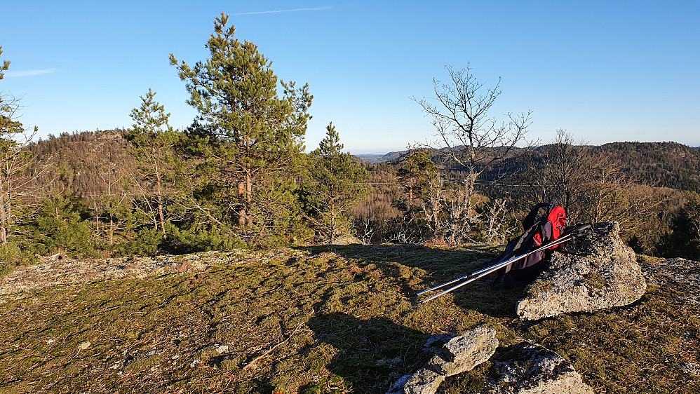 På toppen av Lamåsen (215). Bak furuene til venstre i bildet, er Skjeggås (253).