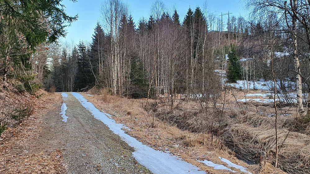 På grusveien som går mot gården Engene. Oppe til høyre ses høyden Sørvest for Engene (149), og høyspentlinja med masta som står rett over selve toppen.