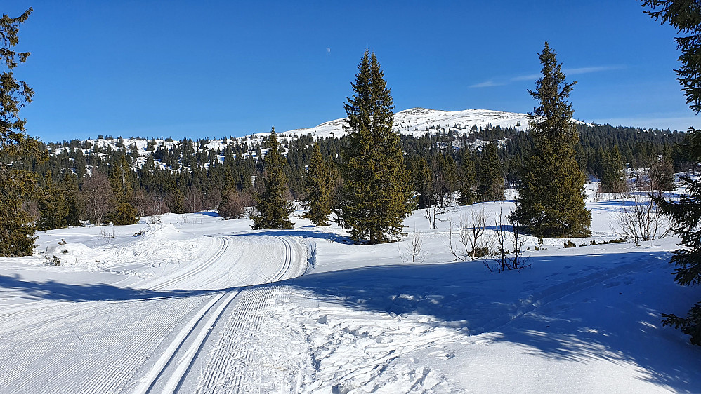 Binnhovdknatten (1165) sett fra vest. Jeg er straks framme ved Kinnatjerne.