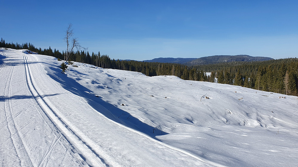 I stigningen oppover mot Branntjernhøgda. Her i løypa litt sør for Grimstjernet. Åsene i bakgrunnen er bl.a. Bislingflaka og Fjellsjøhøgda.