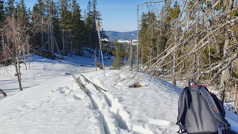 På toppen av Branntjernhøgda (641). Nordover, hvor jeg hadde kommet fra, var det en åpning i skogen som ga gløtt av utsikt den veien.