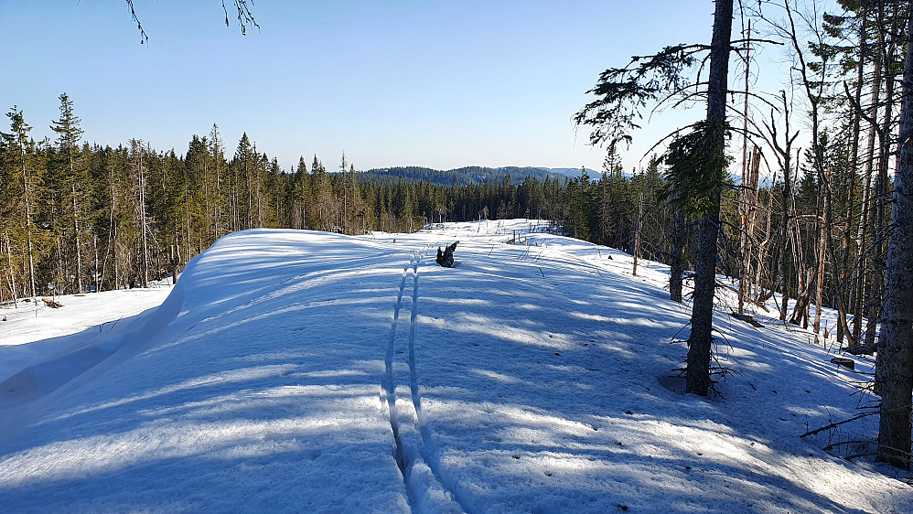 På Branntjernhøgda trig.punkt (640). Takket være hogstfeltet var det utsikt sørover her. Kollene i bakgrunnen består bl.a. av Revshammaren (624) og Kjerkeberget (630).