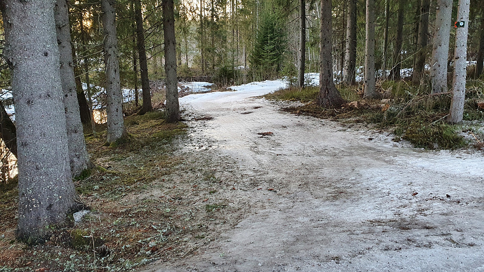 Her sluttet skiløypa, og det var nok like greit. Ikke mye som minner om preparerte skispor her.