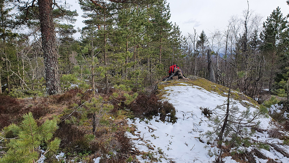 Høyeste punkt på Tyriåsen (449).