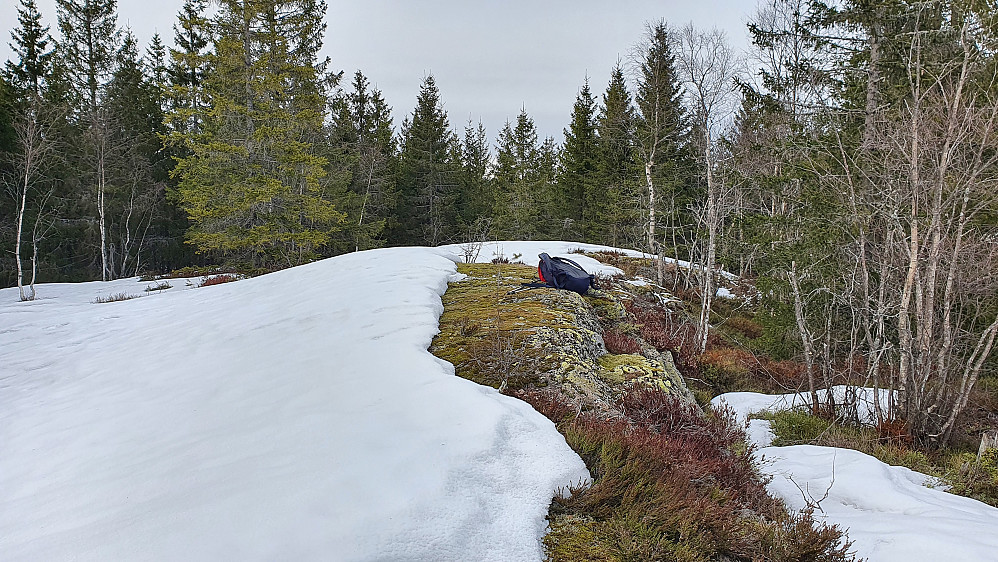 Høyeste punkt på Flyåsen (403).