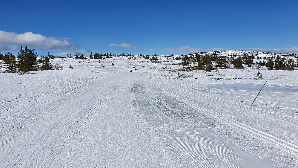 I motvinden nordvest for Strutåsen. Hard og isete løypetrasé her, med innslag av barmark.