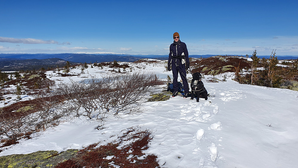 På toppen av Væråsen (813) lå det faktisk noe snø, men skiføret var skralt de siste meterne opp hit. Bildet tatt nordover.