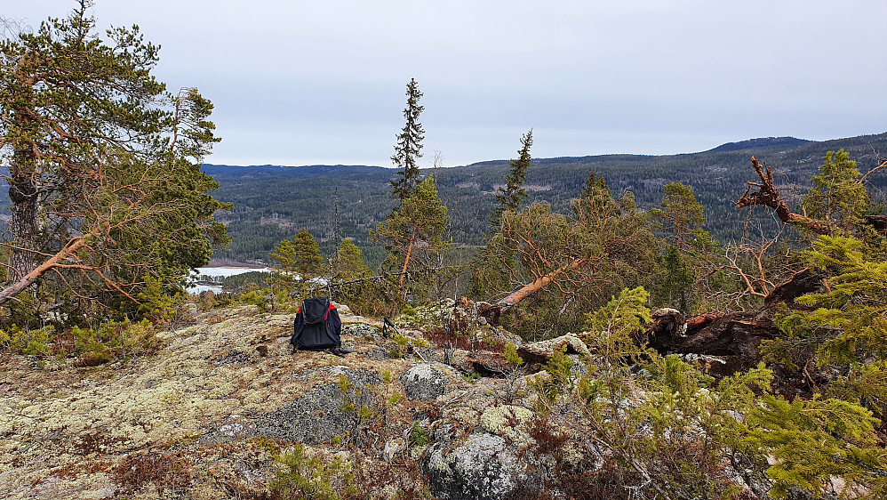 Utsikt mot nordøst fra Linskardberget.