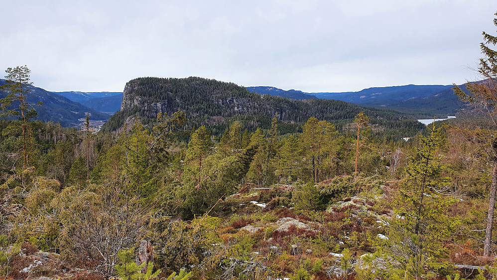 Jeg står ved toppen av Linskardberget (410) og ser over mot Puttekollen (509), som jeg nok ikke ville rekke i dag.