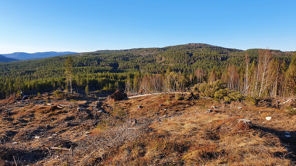 På Snaukollen (283) var det nydelig utsikt, som blant annet her mot Rishuet (468), som er høyeste ås litt til høyre.