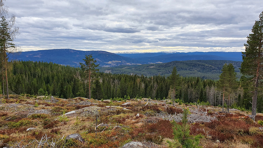 Jeg står 40 m sørvest for toppunktet på Høgås (488), og ser i retning Prestfoss, som ligger nedi dalen omtrent midt i bildet. Åsen til venstre er Grågalten (737).