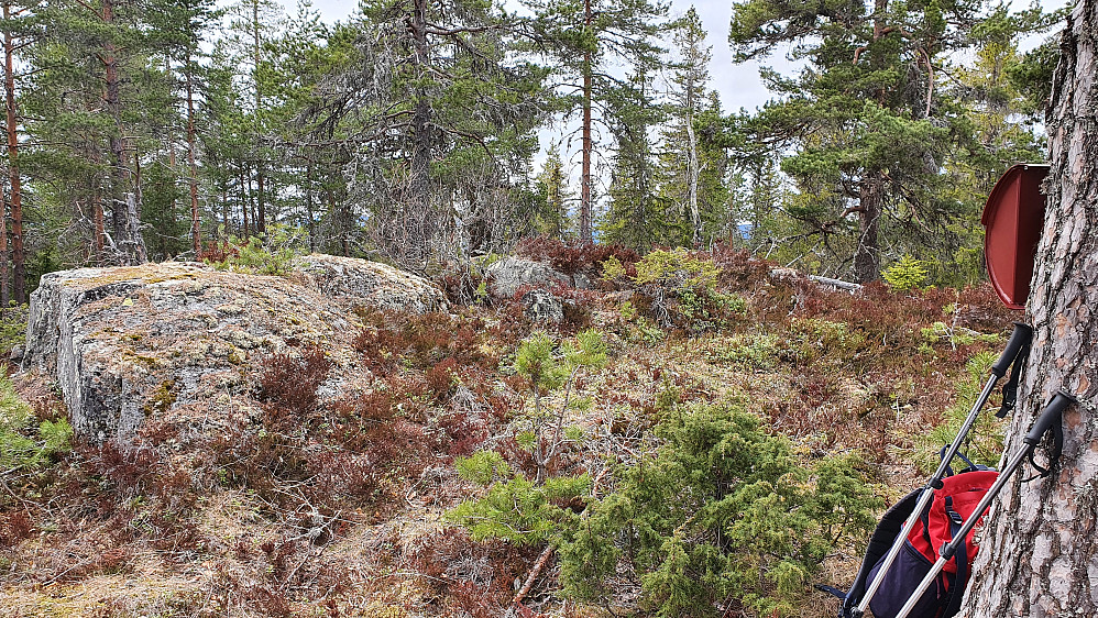 På toppen av Værsåsen (508).