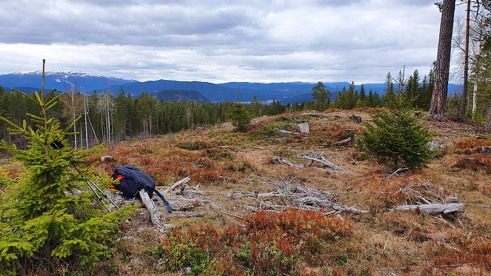 På høyden Vest for Dælaåsen (449), hvor jeg så langt mot nord og nordvest. Norefjell ses bakerst helt til venstre.
