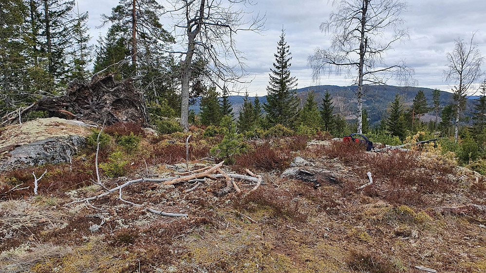 På toppen av Dælaåsen (483), hvor det ikke overraskende var bålrester. Fin plass dette å slå seg ned til et varmende bål.