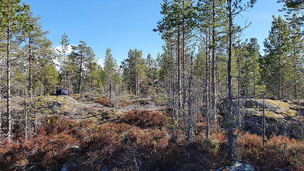 På Bakkesetåsen (533). Bildet tatt sørover. Til venstre ligger sekken min på den knausen som virket høyest. Knausen helt til høyre hadde rester etter et trig.punkt.