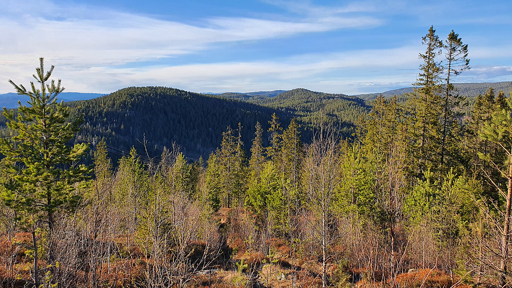 Utsikt nordover fra traktorveien jeg fulgte i nordsiden på Ullandskollen (584). Åsen nærmest til venstre er Heståsen (525). Lengre bak og litt til høyre ses Rognliåsen (550).