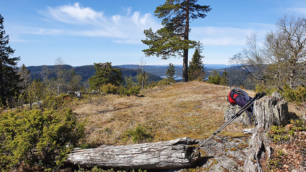 Utsyn vestover sett fra trig.punktet på Neverkollen (575). Vannet i bakgrunnen er Glitre, mens fjellene med snø helt bakerst er Blefjell.