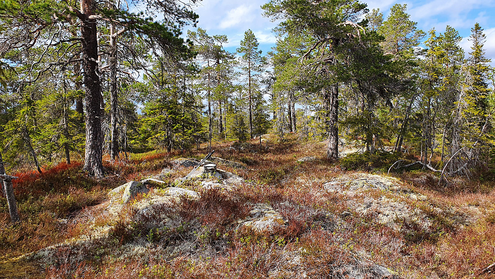 Nokså flatt toppområde på Langvassbrenna Sørøstre (631), med flere jevnhøye kuler.