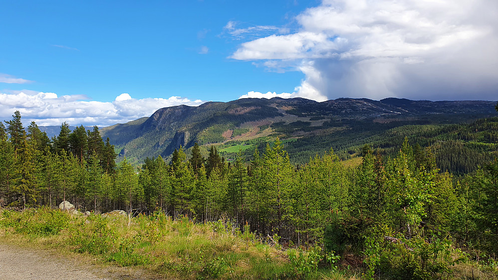 På Skirvedalsvegen. Her med utsikt mot sørøst. Opp mot toppene til høyre ses bakkene i Nesfjellet Alpinsenter og mange av hyttene der oppe.