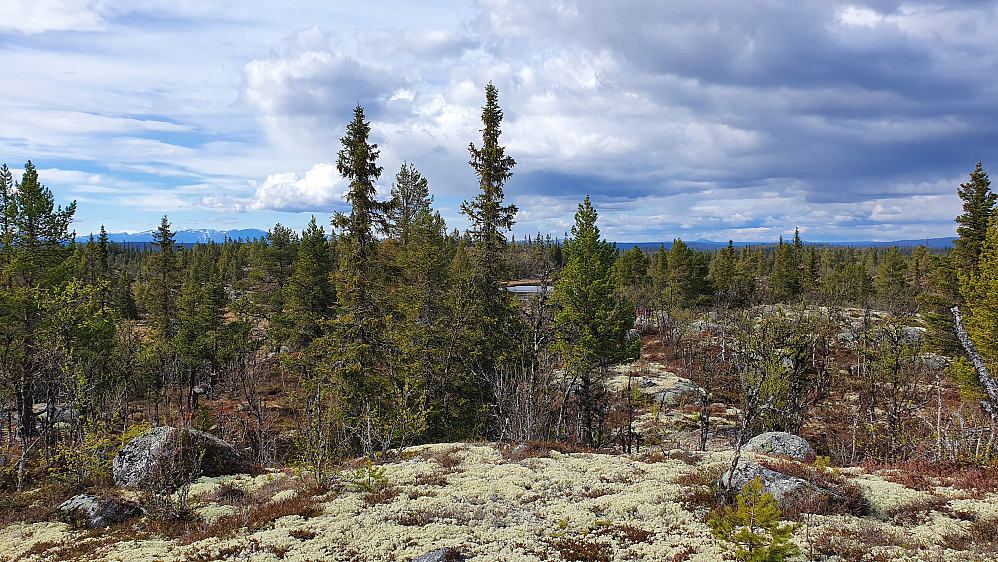 På toppen Vest for Jakobstjern (979). Utsyn nordover. Langt bak til høyre skimtes Skaget (1685), mens Hemsedalsfjella ses til venstre i bildet.