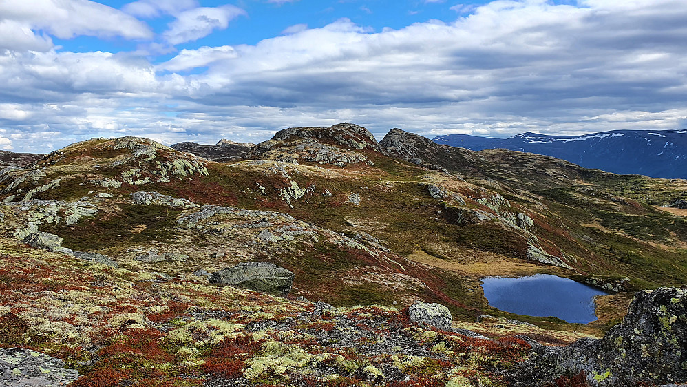 Jeg står på ryggen vest for Langevatnet og ser sørover. Midt i bildet med liten varde øverst, er toppen Nord for Brennatten (1182). Selve Brennatten (1213) er litt mer til høyre.