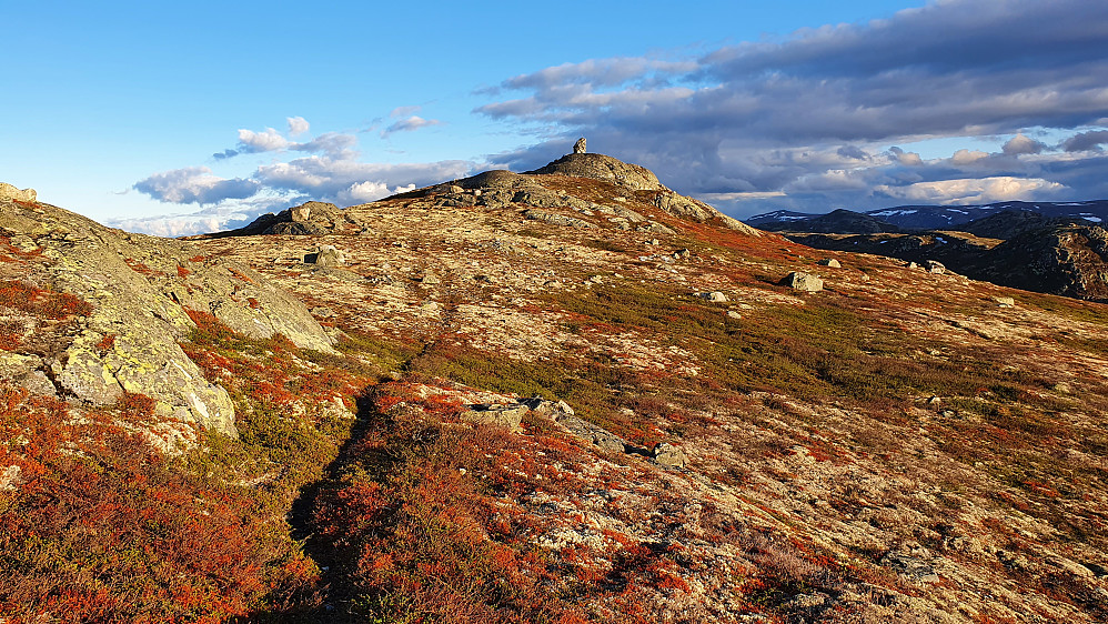 Den lave kveldssola sørget for et nydelig lys da jeg nærmet meg toppen av Hallandsfjellet (1177). Her fulgte jeg for øvrig en liten sti som ikke er inntegnet på kartene.