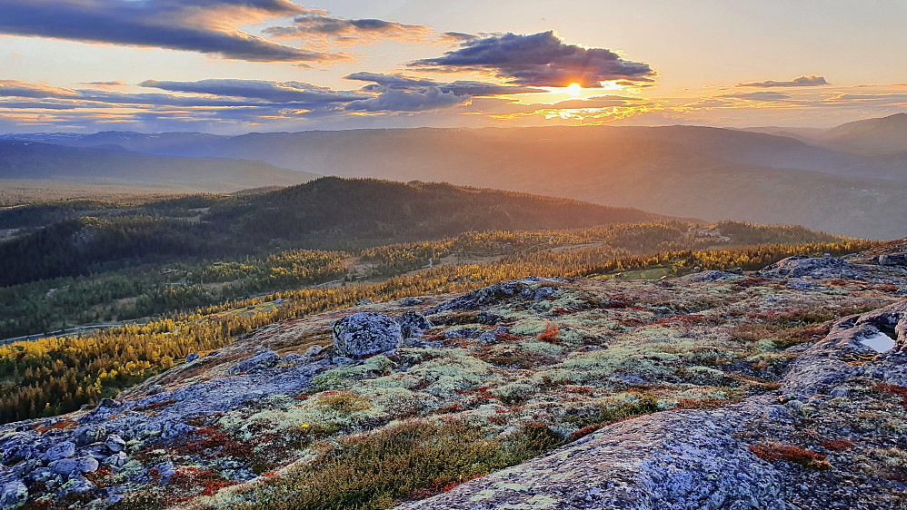 På Hallandsfjellet Vest-2 (1147) var det snart solnedgang. Den skogkledde toppen nedenfor og litt til venstre er Skinhovdkulten (1019).