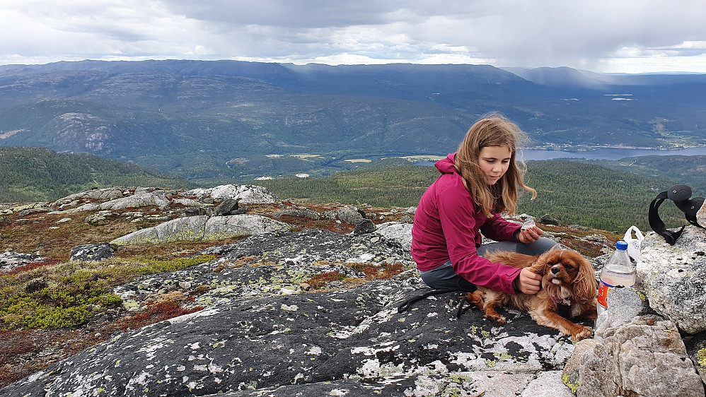 På Vardefjell Sørøst (1108). Utsikt mot nordøst. Regnbygene i bakgrunnen nådde litt senere våre områder.