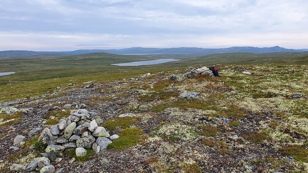 På toppen av Rustin (1295), med utsikt mot vidder og slake fjell i retning nordvest. Borgsjåbrotet (1484) er høyest helt bakerst og litt til venstre for midten.