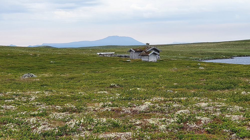 Zoom mot en liten hytte med Gaustatoppen bakenfor.