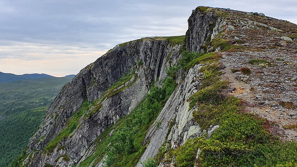 Den stupbratte østsiden på toppen Vest for Baksmett (1144), sett fra nord.