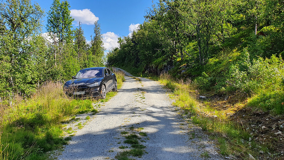 Parkeringslomma hvor jeg satte igjen bilen var grodd igjen med gress. Jeg gikk opp skråningen til høyre i bildet.