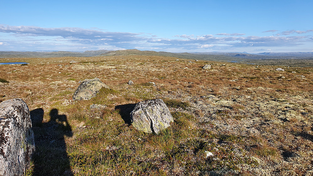På toppen av Krækkjahæe med utsikt mot sørøst. Til høyre og langt bak i det fjerne, ses Gaustatoppen.