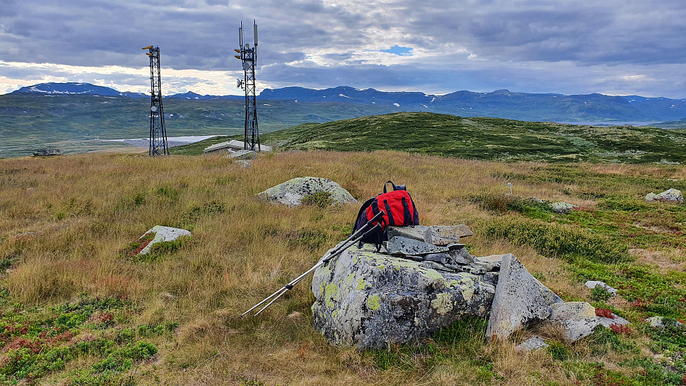 Mye gress på toppen av Ryssefjellet Sørøst (1191). Nærmeste topp bak og litt til høyre er selve Ryssefjellet (1194).