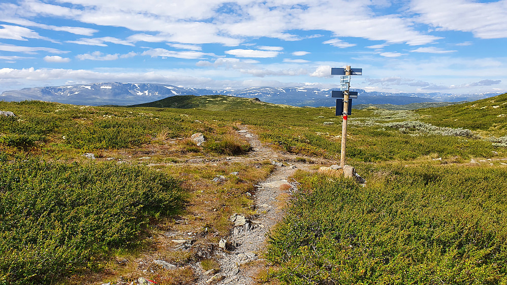 Godt skiltet i X-krysset oppå fjellet, ved høyde 1230. Lengre bak og nesten midt i bildet, er Kalveskallen (1240). Helt bakerst dominerer Hallingskarvet.