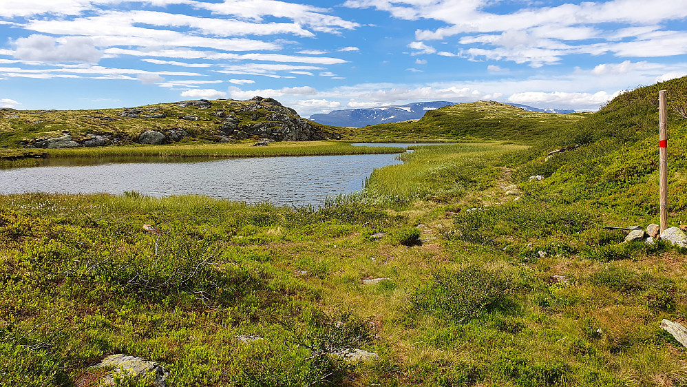 På stien mens jeg var på vei mot Kalveskallen (1240). Her er tjernet på 1188,5 moh. Helt bakerst ses litt av Hallingskarvet.