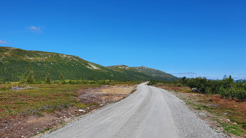 På vei mot parkeringsplassen. Her er vi ved Dalset, og ser Eidsfjell (1333) bakerst, rett over grusveien. Den flate toppen til venstre for Eidsfjell, er Smylinatten (1138).