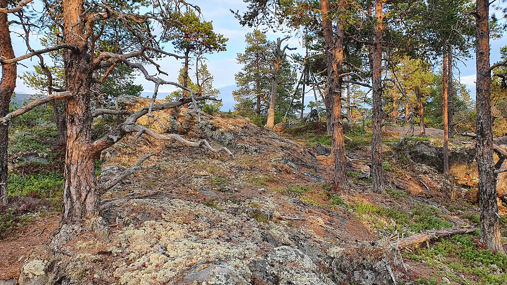 Toppområdet på Storneskulten (851).