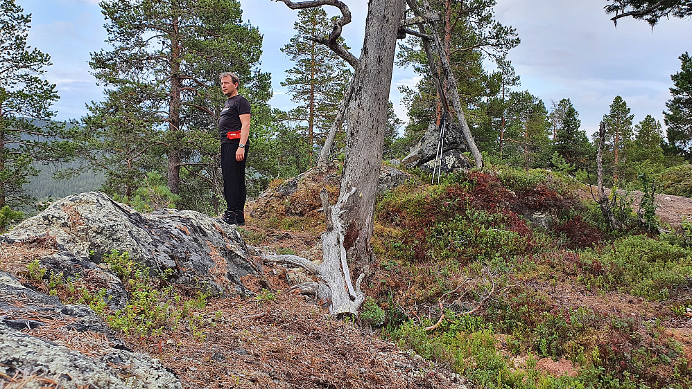 På Storneskulten (851).