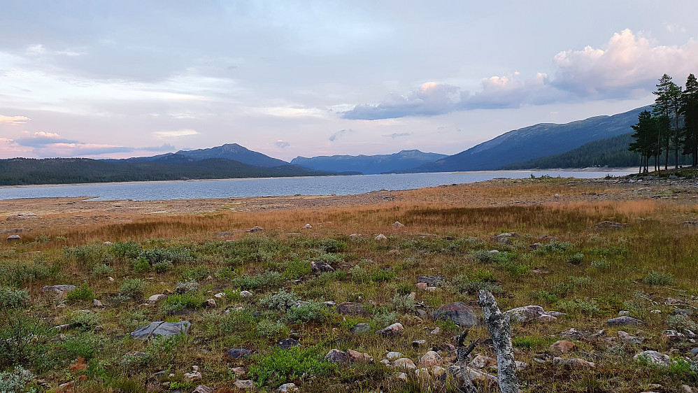 Under returen tok jeg en liten avstikker ned mot den kraftig nedtappede Tunhovdfjorden. Utsikt sørover, med fjellet Skarpenord (1215) til venstre.
